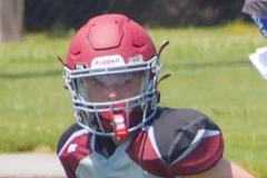 SEWhitfield.MasonWilliams